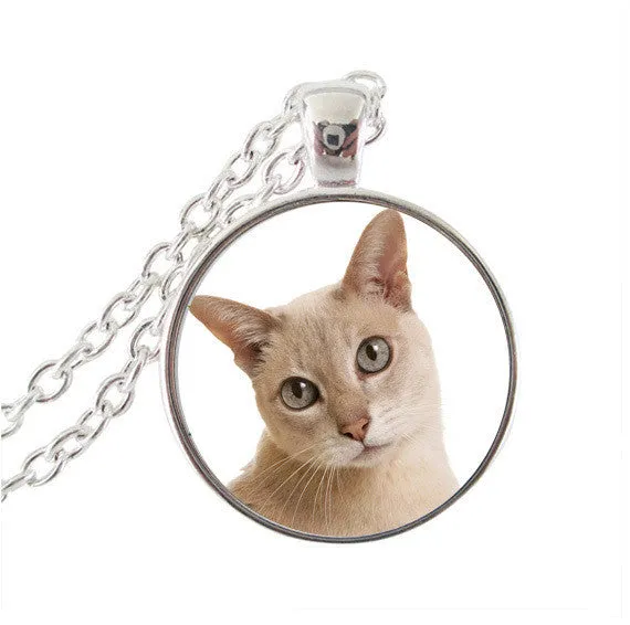 cute cat jewelry silver chain animal statement necklace summer style women choker neckless