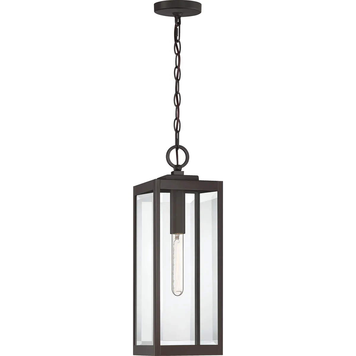 Westover 1-Light Outdoor Lantern